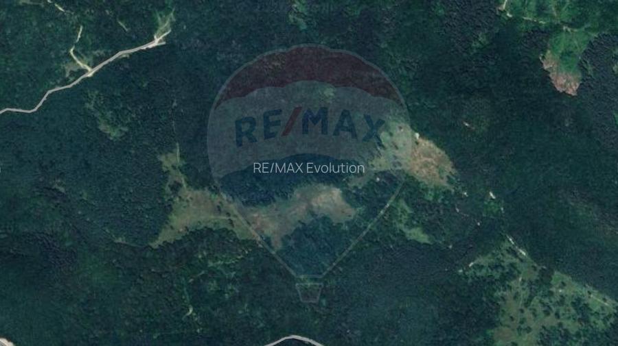 COMISION 0% | Teren 23.000 mp | Extravilan | Râsnov - Pârâul rece - 4