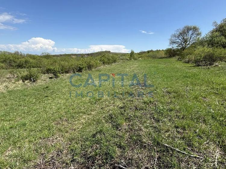 Teren intravilan 2200mp, Front 16m, sat. Padureni, Chinteni - 3