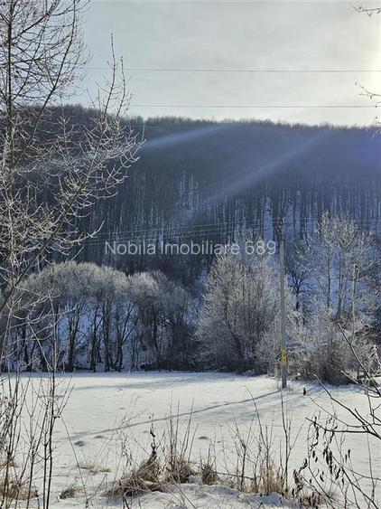 TEREN INTRAVILAN 3200 MP DE VANZARE SLANIC M9LDOVA - 8