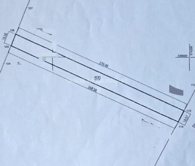 Teren de  vanzare Dragomiresti Deal - 3