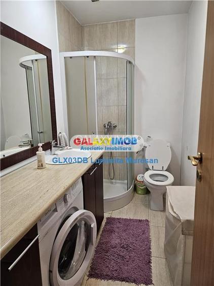 Vanzare casa P + M  5 camere Valea Voievozilor  Razvad - 9