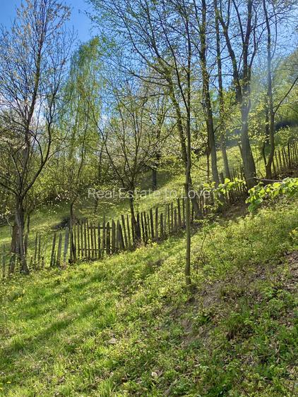 Teren vedere panoramică lac Paltinu si dealuri împădurite in Valea Doftanei - 7
