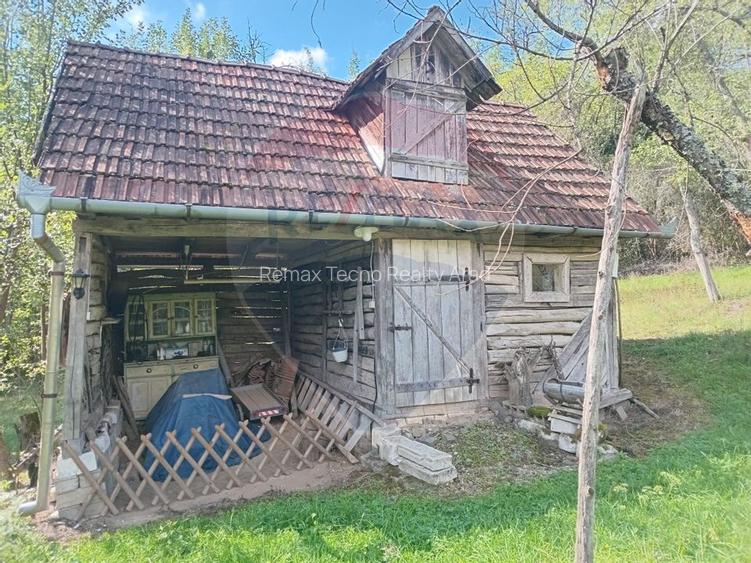 OCAZIE!!! CASA SUPERBA cu teren in JULITA jud Arad in M tii Zarandului - 35