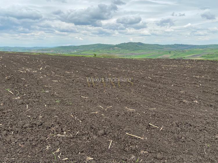 Teren extravilan, 10.200mp, Țagu - 3