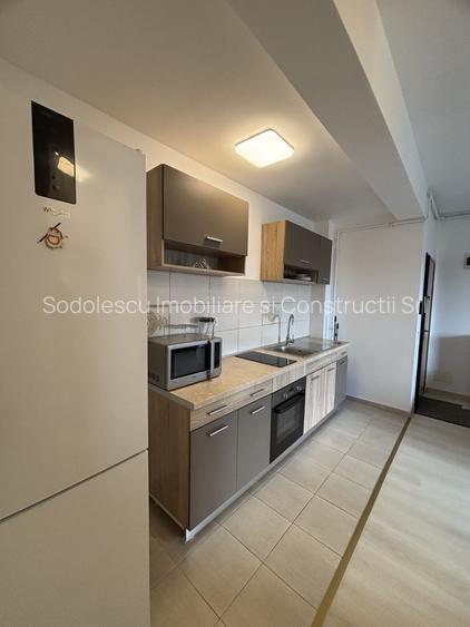 Apartament 2 camere de închiriat în Dumbravita - 19