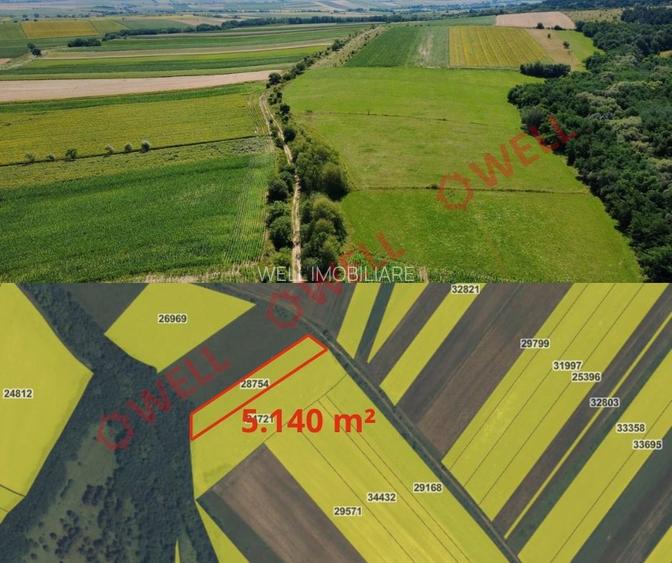 De vânzare 8 parcele de teren extravilan în apropierea localității Măgheruș! - 4