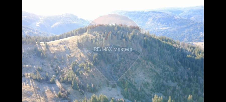 Teren 31,461mp Panaci / Prelungirea Ialovita - 3