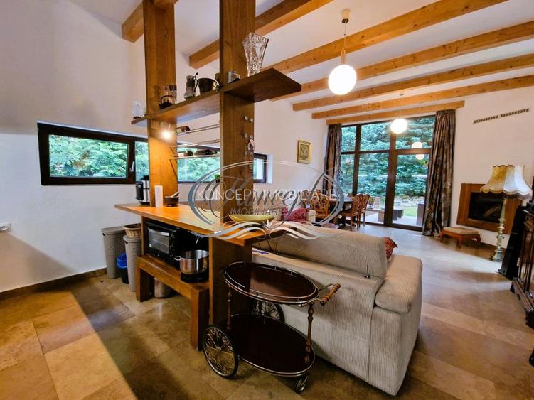 Casa deosebita in Faget - 13