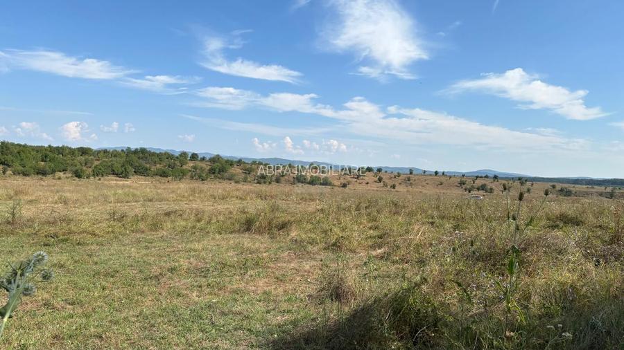 Închiriez teren intravilan - 2