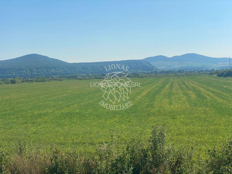 Teren 3000 mp la DN 17-investitie-Sieu-Magherus - 6