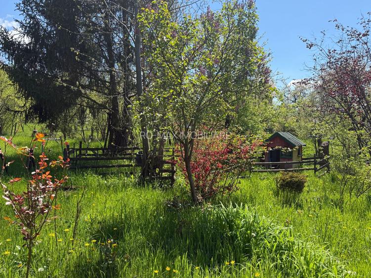 Casă parter+mansarda 100mp + beci, cu teren intravilan 1400 mp - 30