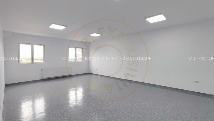 Inchiriere Spatii de Birouri/Productie - Str. Uzinei - Carei - Comision 0%  - 4
