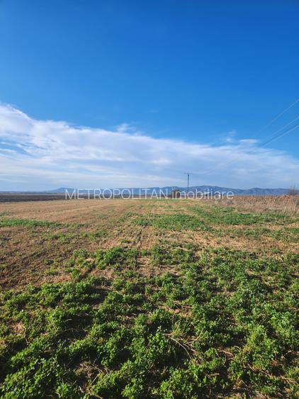 Vanzare teren constructii casa - 3