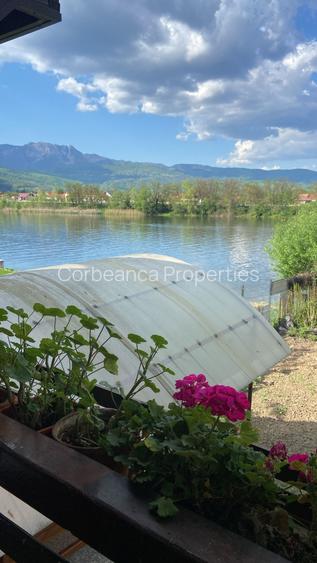 Inchiriem cabana in Calimanesti (Seaca), cu ponton la Olt, gradina - 2