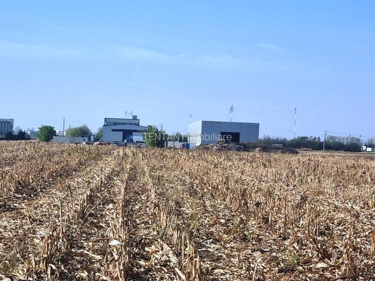 Vanzare Teren industrial  Magurele 4000mp - 8