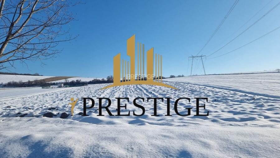 TEREN  DE VÂNZARE 6695 MP ÎN SIBIU ȘURA MARE - 6