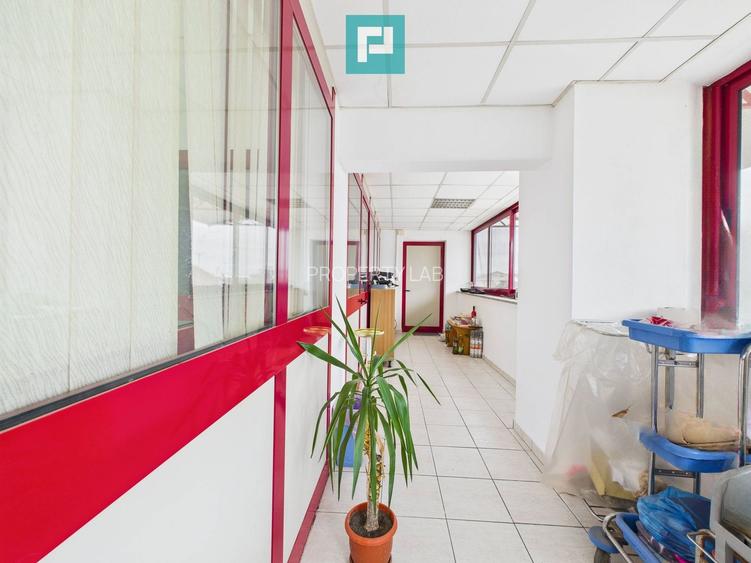Hală de producție, cu birouri și teren, în Sebiș - 38