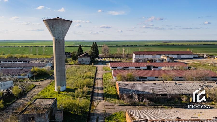 De vanzare Complex Zootehnic Suine Jud. Arad SU 15.30ha, Ferma, Grajd - 7