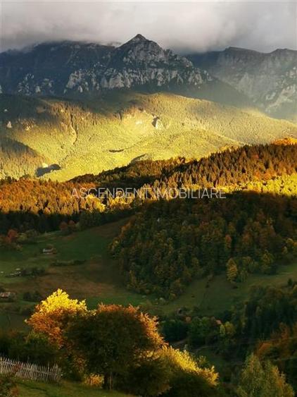 7.000 mp, pozitie spectaculoasa, fara vecini, Fundatica, Brasov - 11