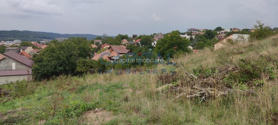 Teren constructii 3400mp, front 31 ml, zona excelenta, panorama, Dambul Rotund - 4