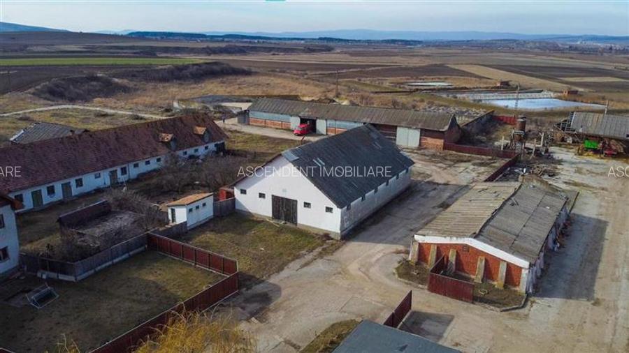 Ansamblu agrozootehnic cu renume,dotat +valoare exceptionala+potential versatil, - 44