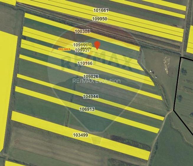 Teren EXTRAVILAN | 4,000mp Stupinii Prejmerului | COMISION 0% - 7