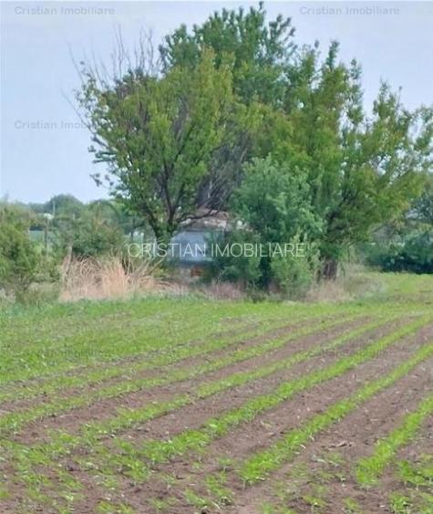 la Soseaua Principala (Braila-Buzau) Teren 9000 mp deschidere 120m  Lacu Sarat - 4