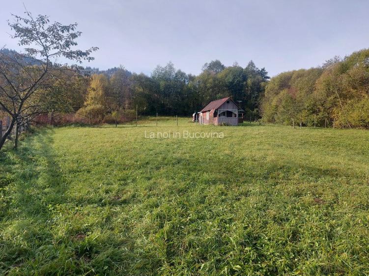 Spre vanzare teren 3662 mp in Campulung Moldovenesc - 7