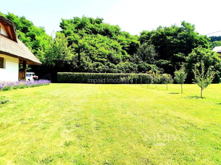 Casa traditionala de vis, aproape de Cluj-Napoca - 5