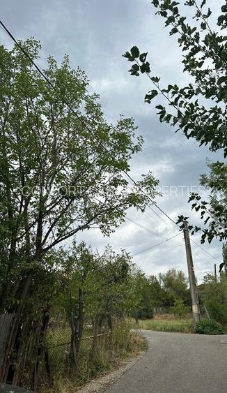 Stefanesti-sat Viișoara, Argeș, teren intravilan racordat la toate utilitățile - 9