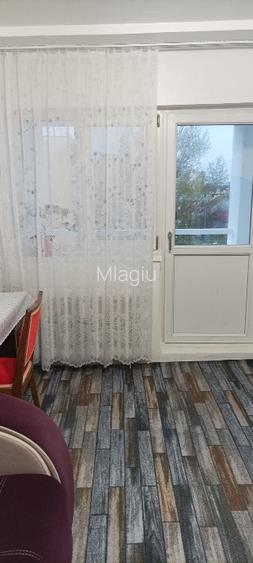 Proprietar inchiriez Grasoniera zona Ciuperca (1 Mai), renovata - prima inchirie - 12
