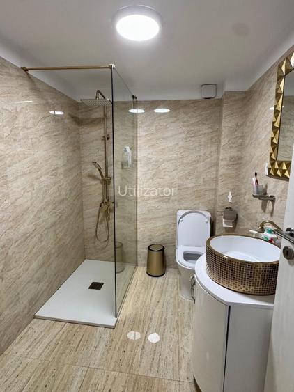 Direct Proprietar - Vila individuala D+P+1, zona Domenii 160mp - 12