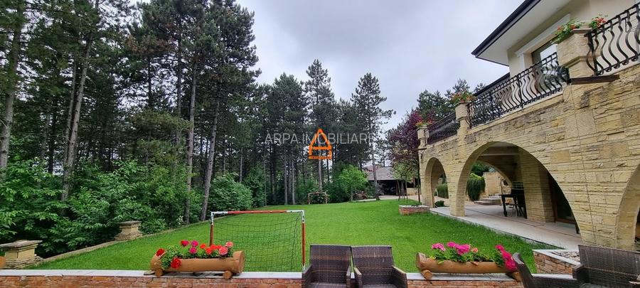 Casa / Vila - 740 mp - 11.000 mp teren - Proprietate Unica in Iasi - Bucium - 3