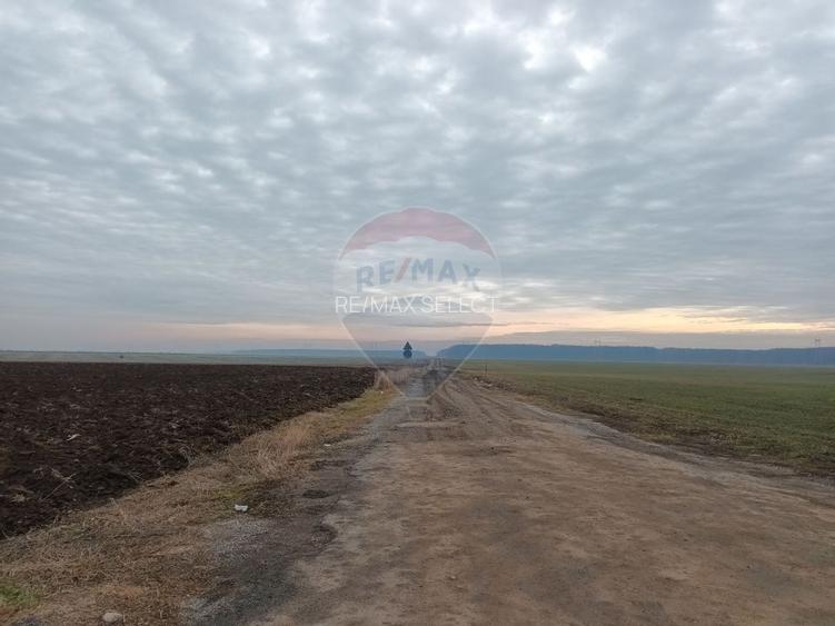Vanzare teren intravilan parcelat, in Branesti langa - Autostrada A2 - 10