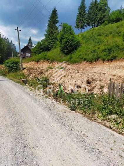 Casă batranească, renovabilă + 5000 mp teren I la 50km de Cluj-Napoca - 4