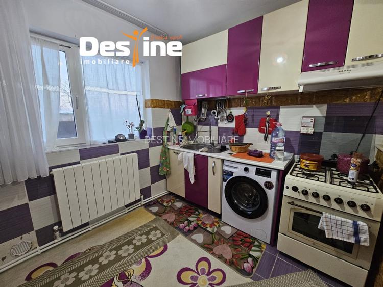 Casa cu etaj si mansarda, 7.200 mp teren, in comuna Probota  - 8