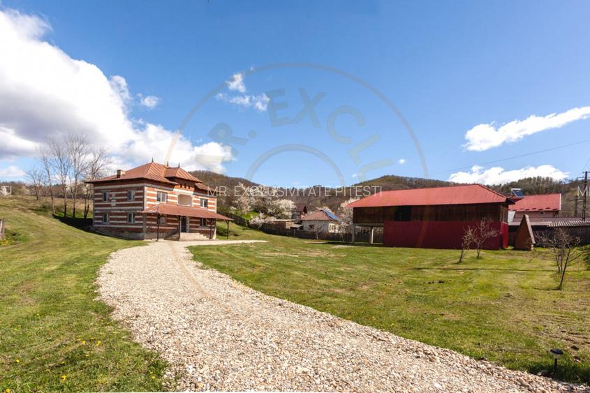 Casă P+1 langa padure cu teren 4.752 mp Cosesti Arges - 3