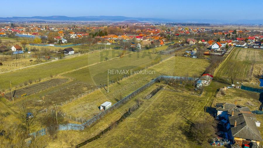 Teren Intravilan 5.000 mp Prejmer -  Strada Preot Ioan Popescu - 4