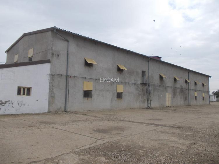 Fabrică de nutrețuri combinate - 8