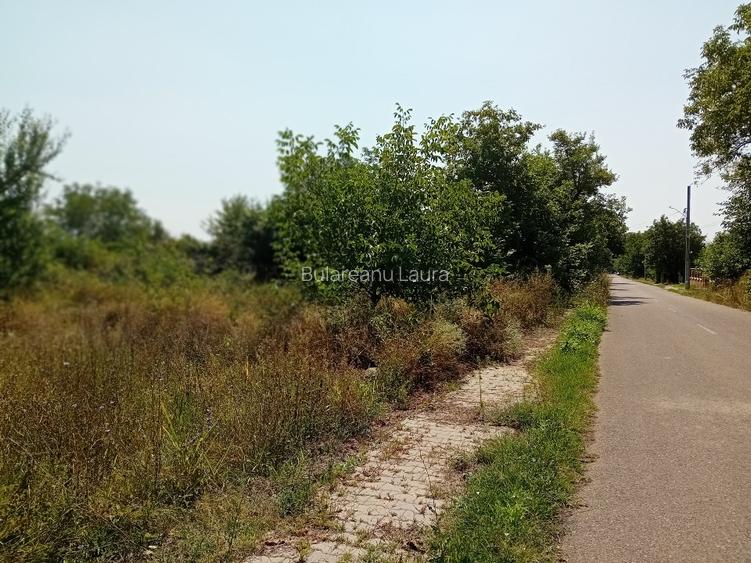 Teren intravilan 836 mp , deschidere 24 ml , zona linistita - 4