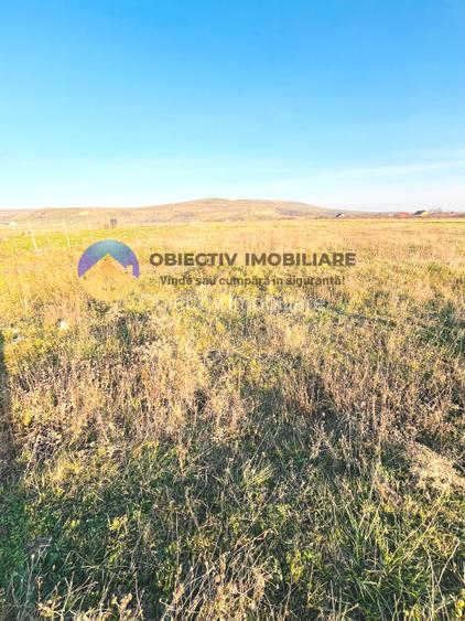 TEREN intravilan  PIATRA-NEAMT - 4