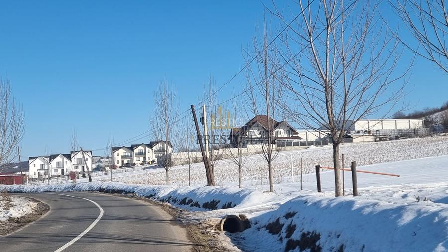 FĂRĂ COMISION | TEREN 6695 MP ÎN ȘURA MARE - 2