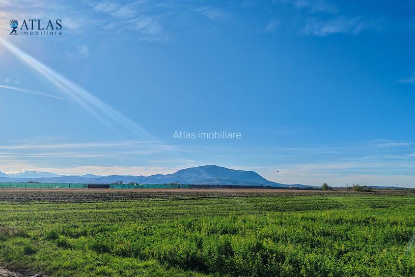 Teren ideal dezvoltare rezidențială, 8.121 mp, PUZ aprobat, utilități, Stupini - 3