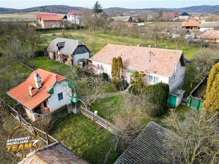 FILM! 5.000mp teren intravilan cu casuta rustica, Dalnic, Covasna - 47