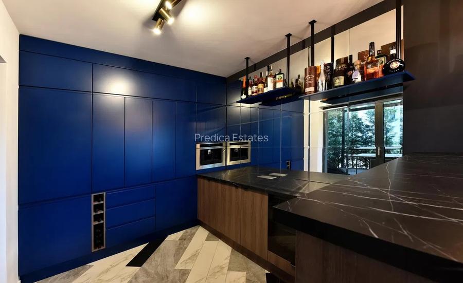 Duplex - Cloud 9, Aviatiei, Promenada, Herastrau - 6