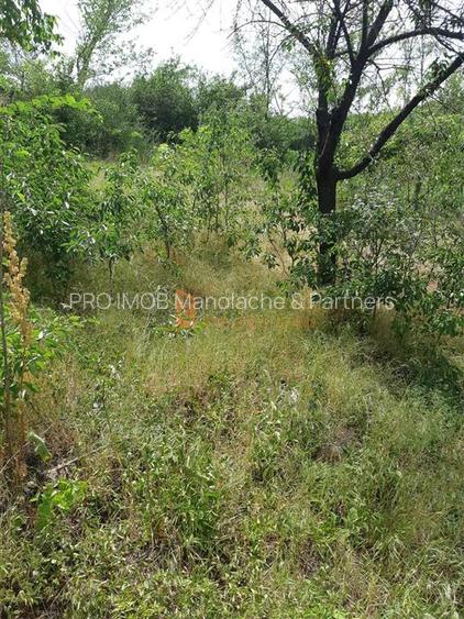 Teren intravilan zona Zarnesti - 2