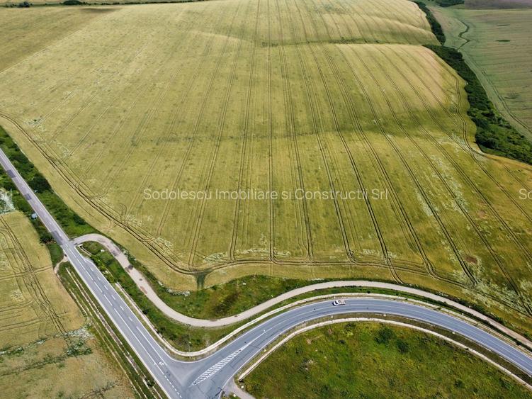Teren la sosea Ortisoara - Autostrada A1 - 31