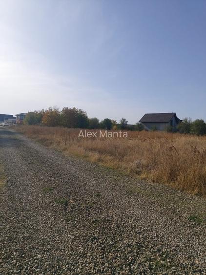 Oportunitate teren constructie Vila - pozitie excelenta, utilitati - 6
