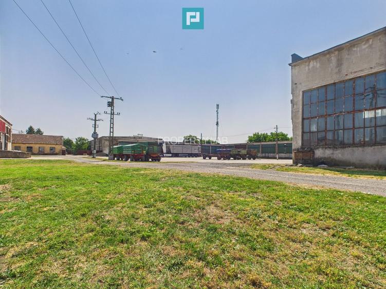 Complex industrial cu hale și teren  în Orțișoara - 44