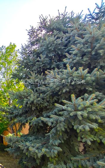 Vila noua, teren de aproape 800 mp, zona de case - 2